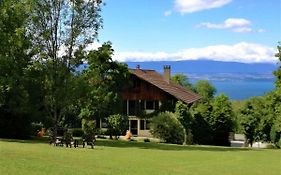 Domaine De L'Olifant